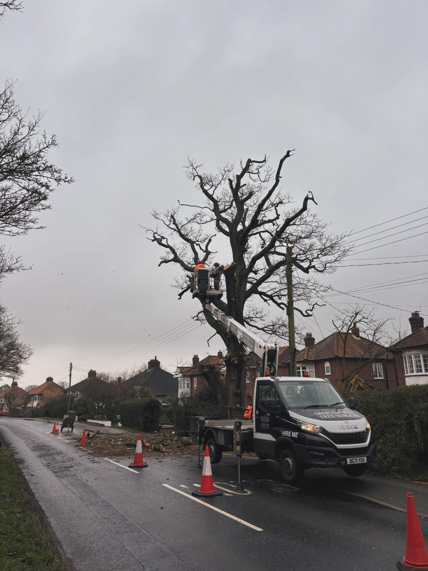 Cherry picker being used to carry out tree removal in Suffolk