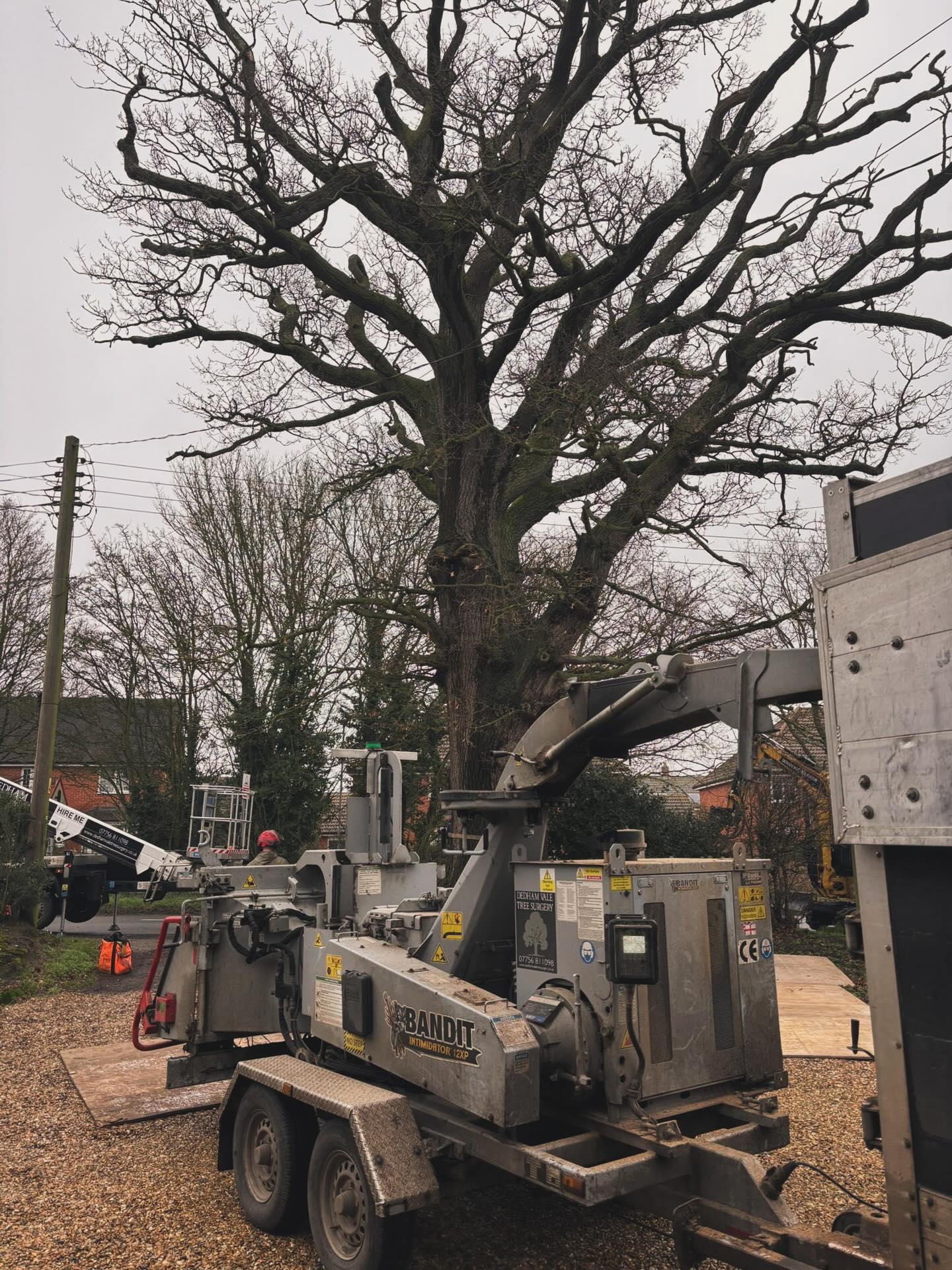 Bandit wood chipper being used to remove tree in Suffolk