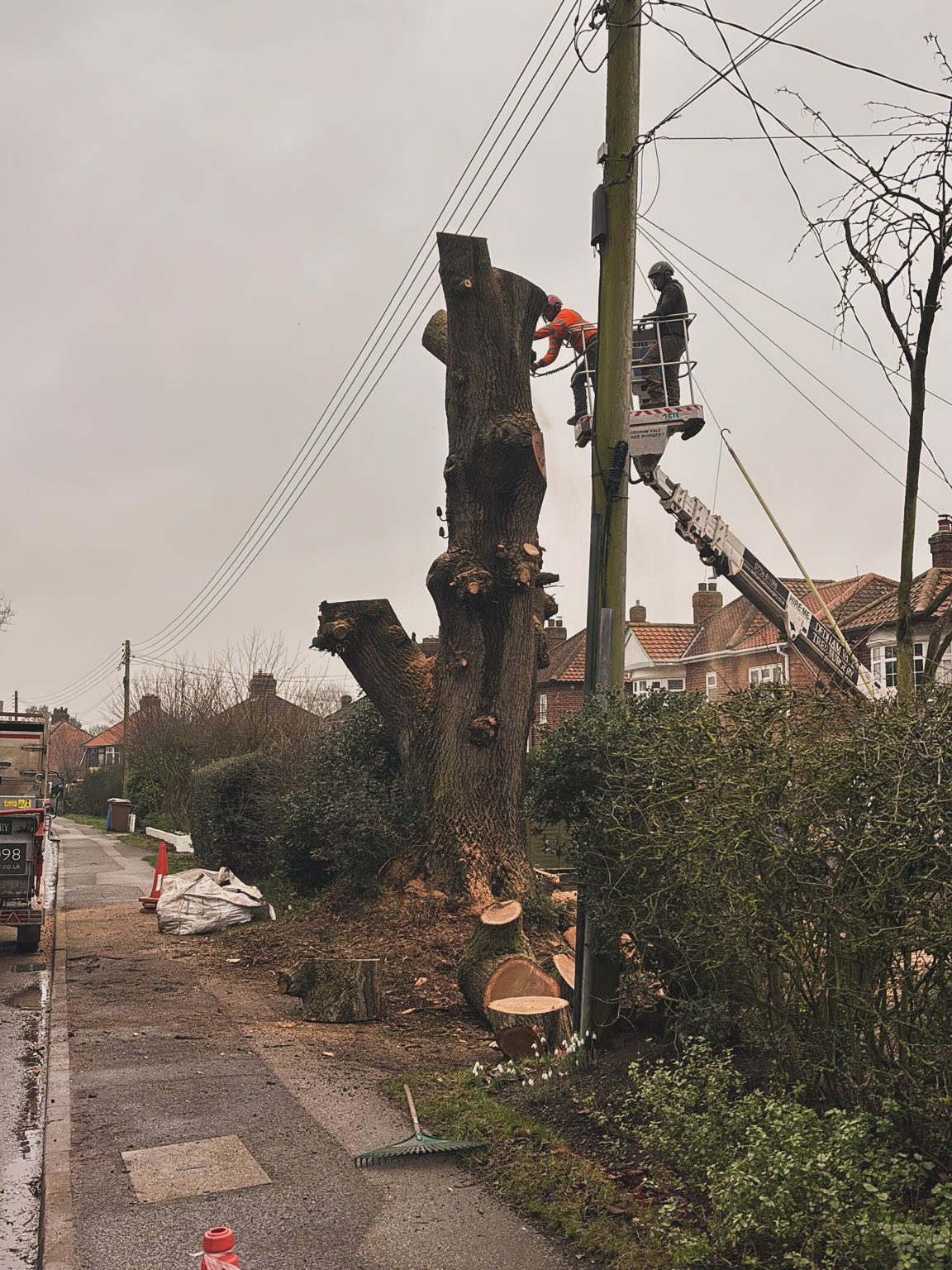 Cherry picker being used to carry out tree removal in Suffolk