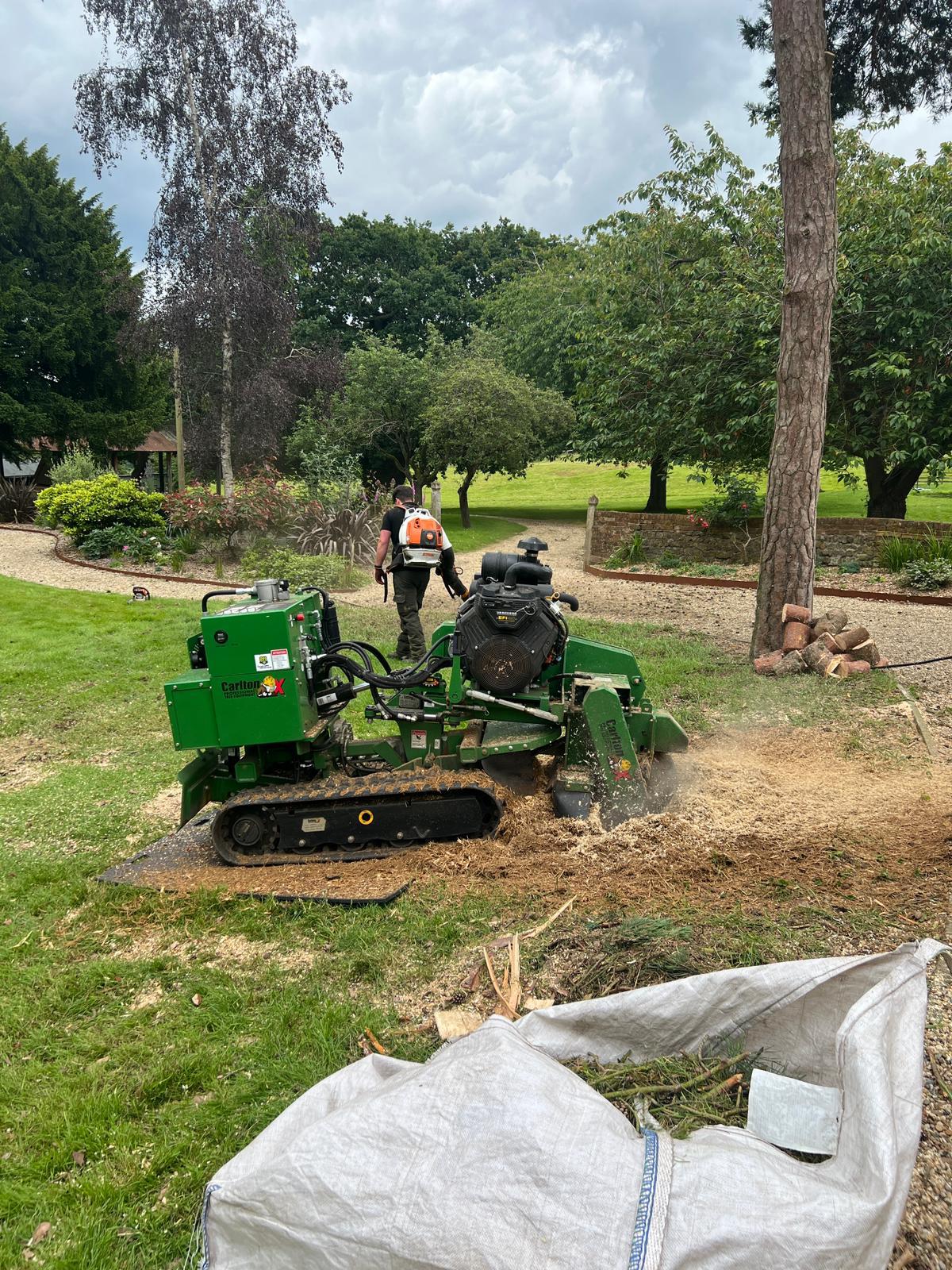 Stump grinding using specialist equipment by Dedham Vale Tree Surgery