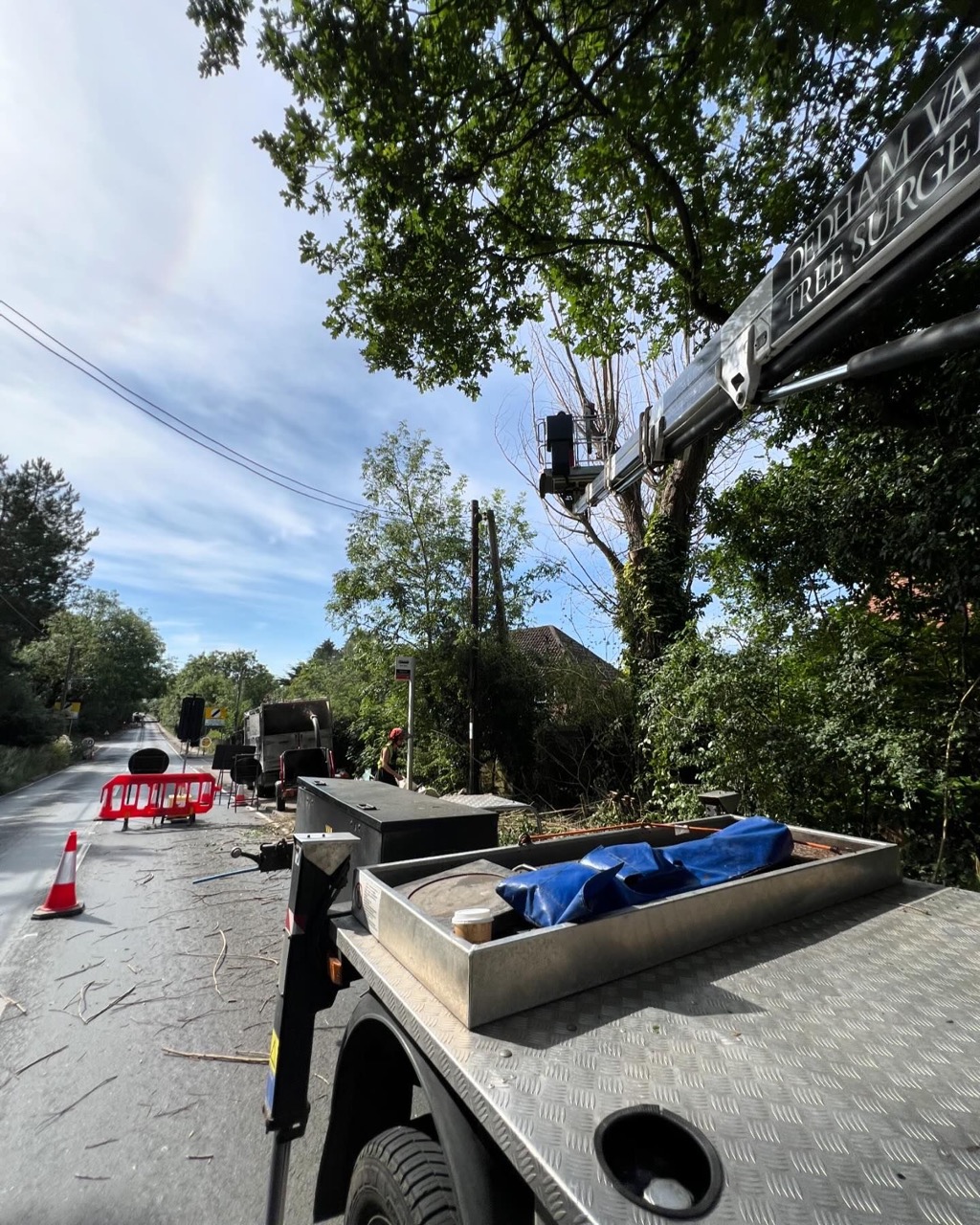 Arborist in MEWP trimming trees