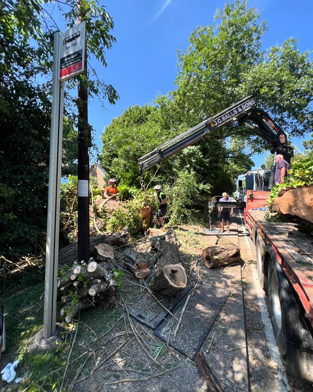 Arborists using lorry and crane to remove logs