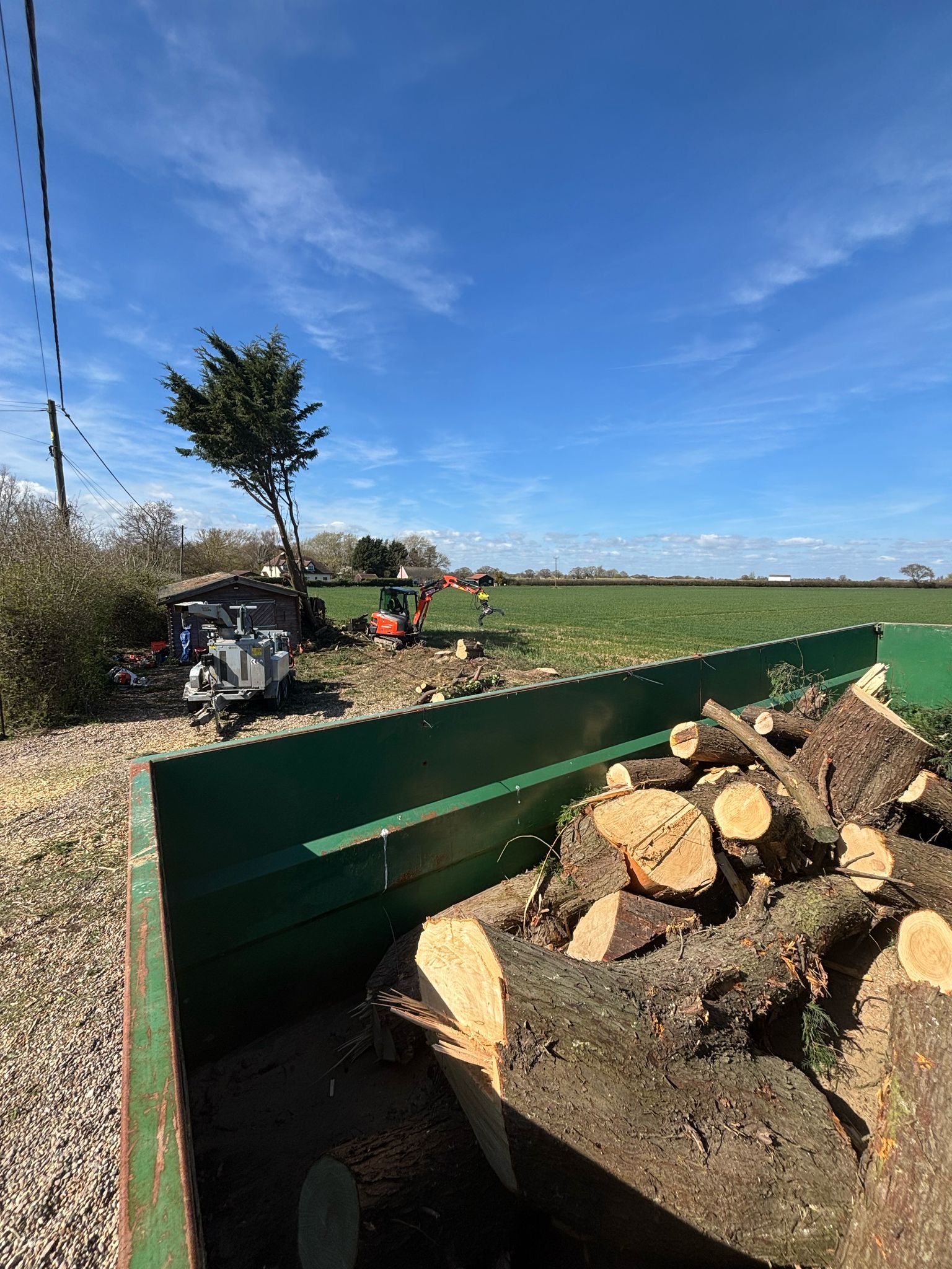 Digger and trailer being used to remove large logs