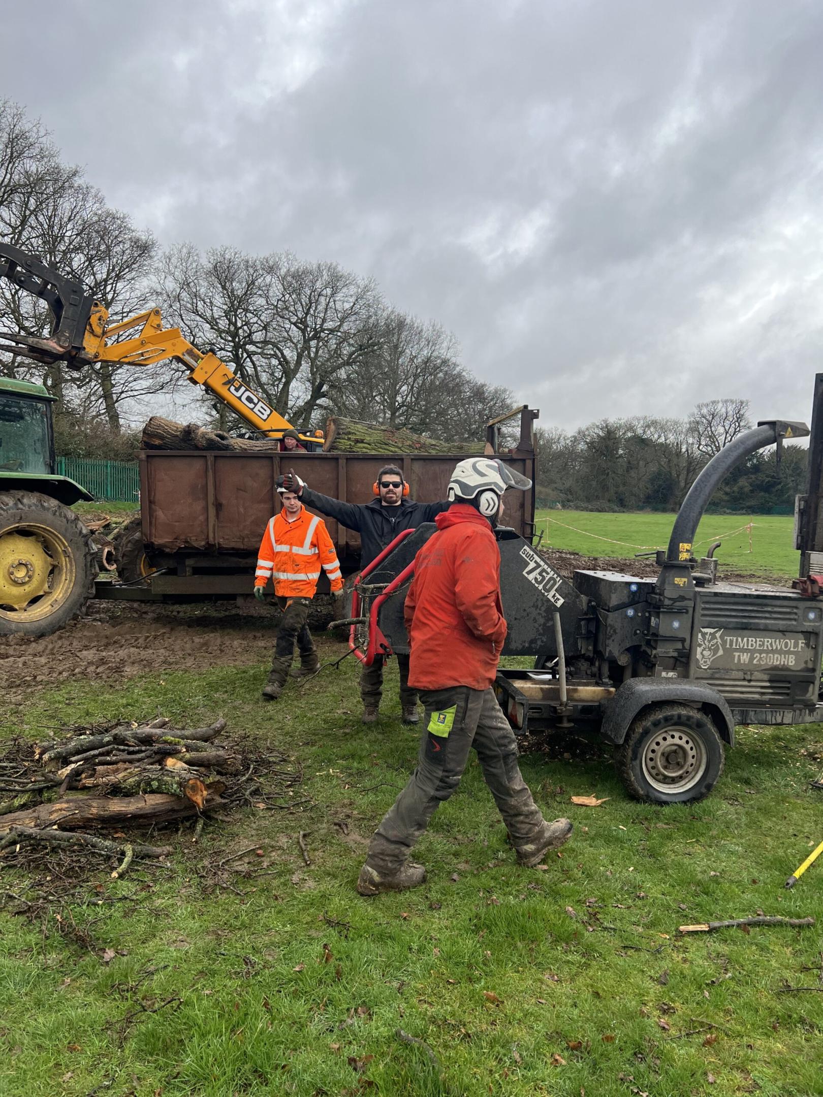 Harry, Rhys & Aidan of Dedham Vale Tree Surgery