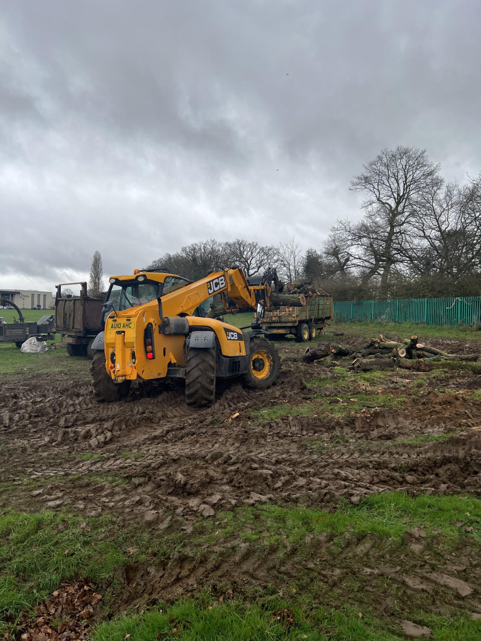 Tree clearance in Colchester with tele-handler and tractor