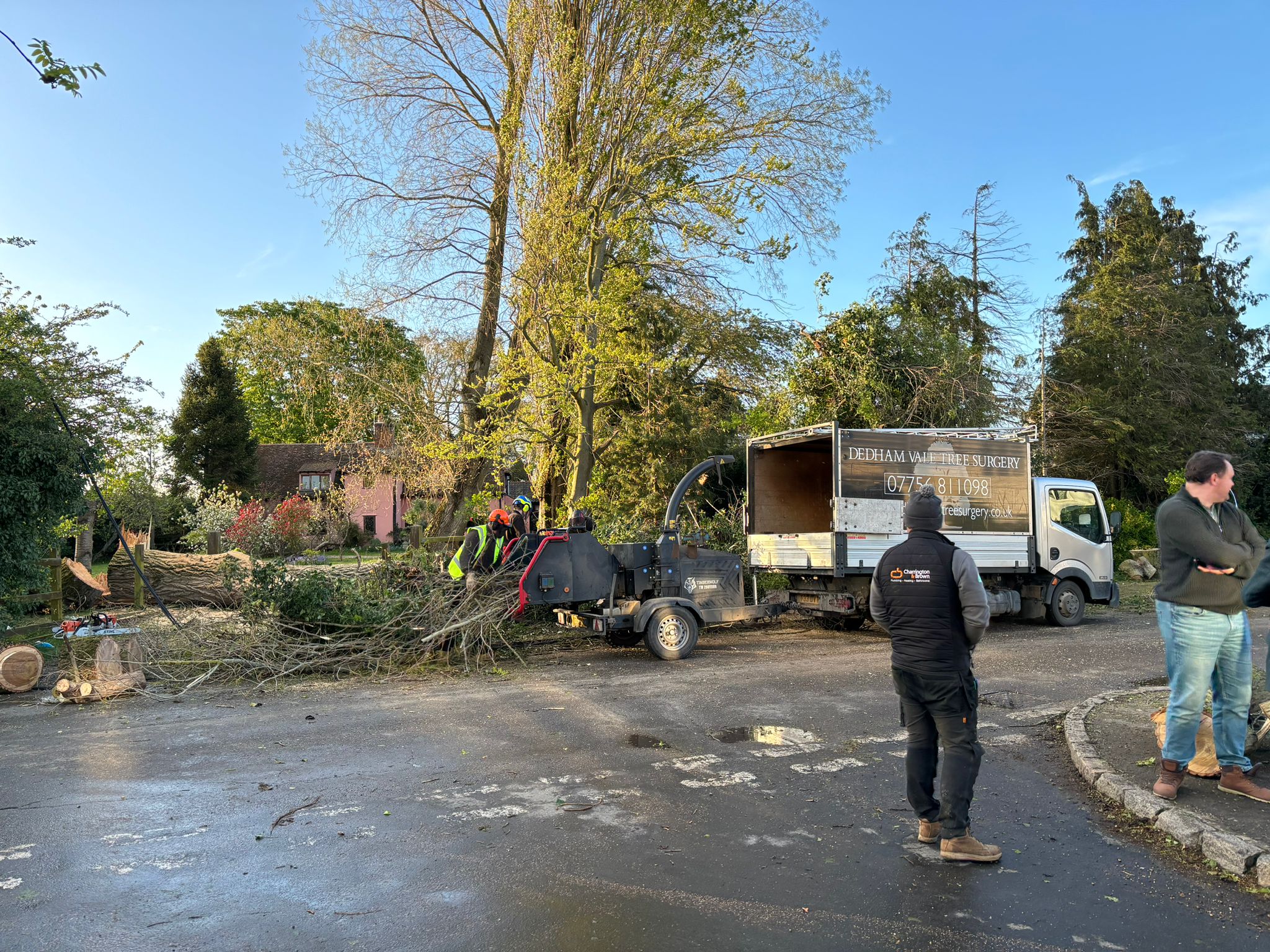 Tree clearance in Bradfield