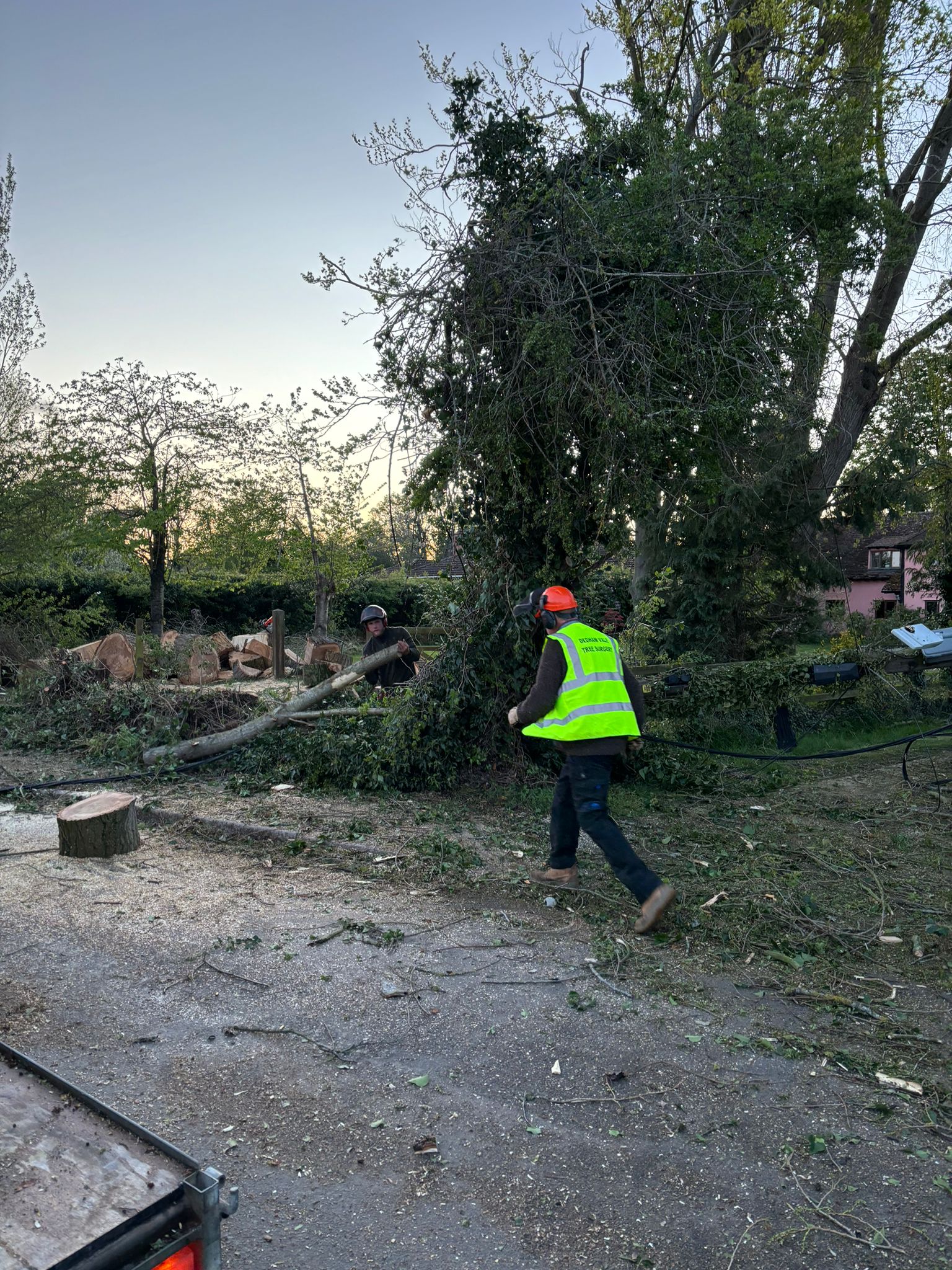 Tree Surgeons clearing fallen tree in Bradfield