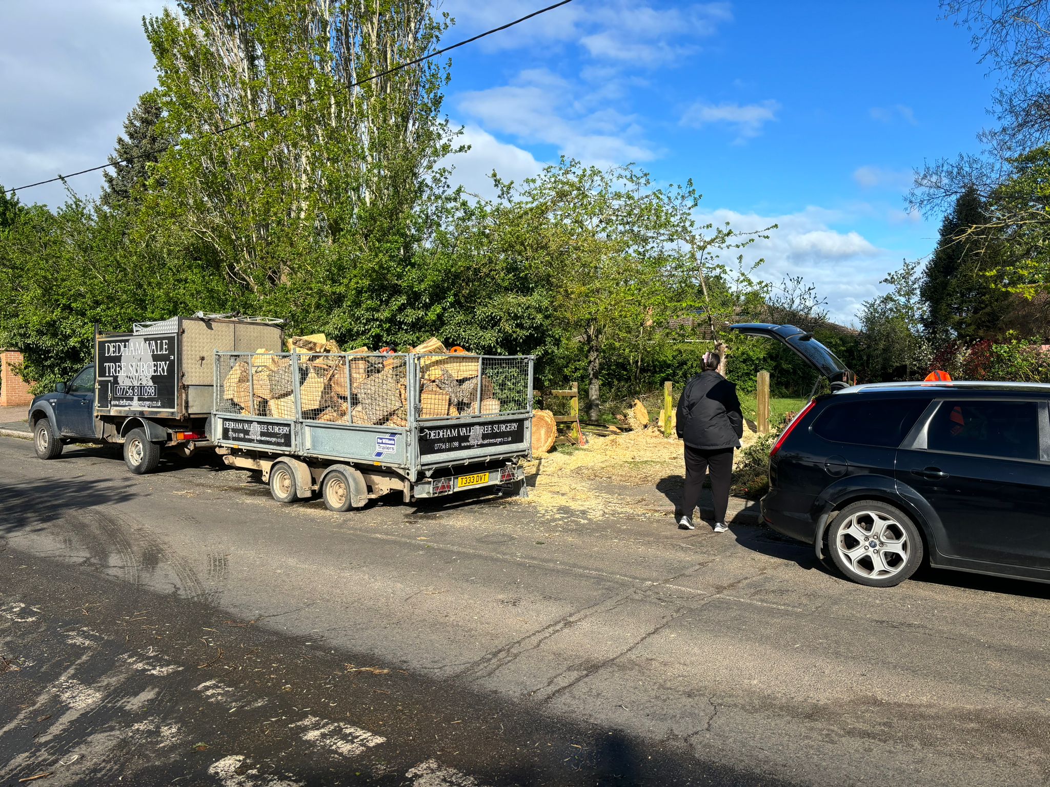 Logs cut up from fallen tree in Bradfield